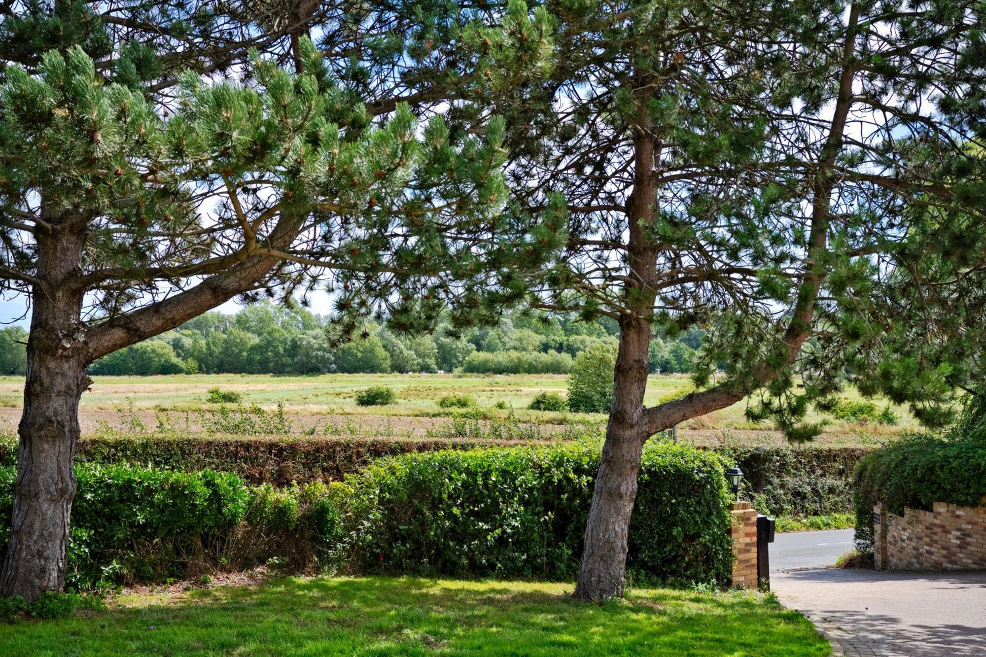 Owlet Lodge Chislet 외부 사진