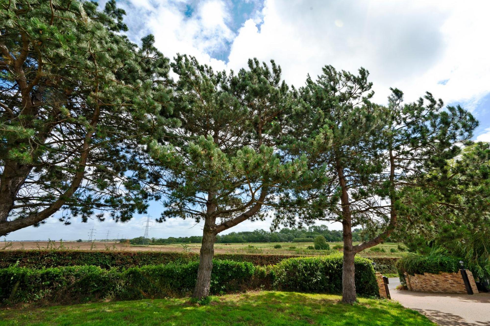 Owlet Lodge Chislet 외부 사진
